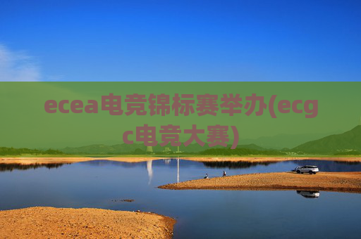 ecea电竞锦标赛举办(ecgc电竞大赛)