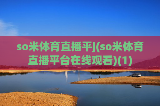 so米体育直播平j(so米体育直播平台在线观看)(1)