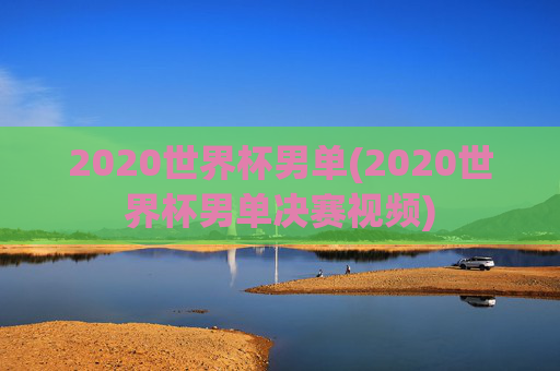 2020世界杯男单(2020世界杯男单决赛视频)