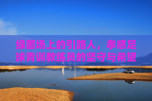 绿茵场上的引路人,孝感足球青训教练员的坚守与希望