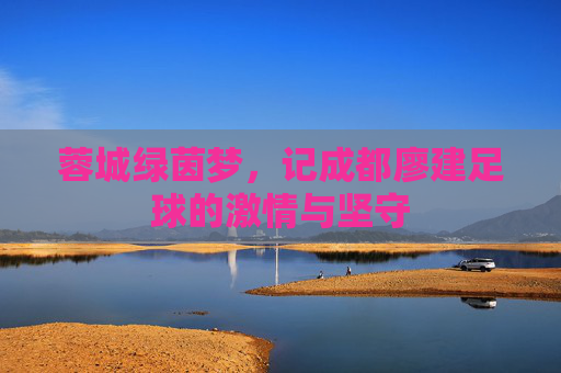 蓉城绿茵梦,记成都廖建足球的激情与坚守