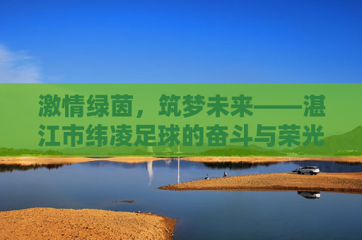 激情绿茵，筑梦未来——湛江市纬凌足球的奋斗与荣光