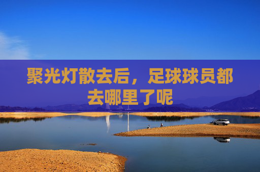 聚光灯散去后，足球球员都去哪里了呢