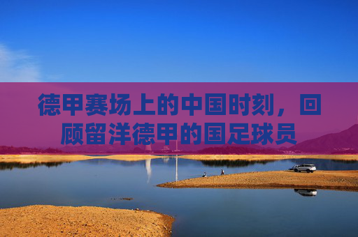 德甲赛场上的中国时刻，回顾留洋德甲的国足球员