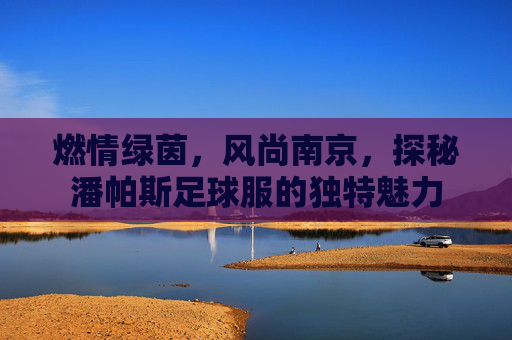 燃情绿茵，风尚南京，探秘潘帕斯足球服的独特魅力