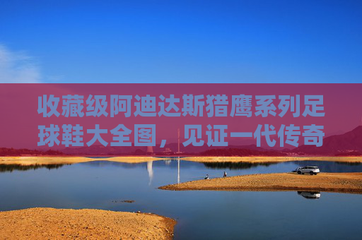 收藏级阿迪达斯猎鹰系列足球鞋大全图,见证一代传奇的诞生与陨落