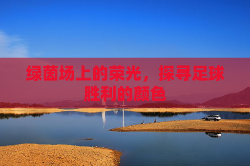 绿茵场上的荣光,探寻足球胜利的颜色