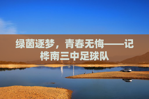 绿茵逐梦，青春无悔——记桦南三中足球队