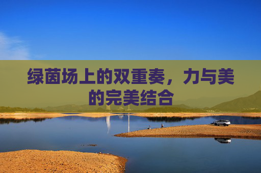 绿茵场上的双重奏，力与美的完美结合
