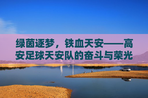 绿茵逐梦,铁血天安——高安足球天安队的奋斗与荣光
