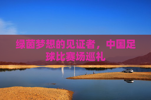 绿茵梦想的见证者，中国足球比赛场巡礼