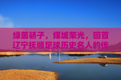 绿茵骄子,煤城荣光,回首辽宁抚顺足球历史名人的传奇岁月