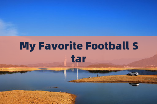My Favorite Football Star