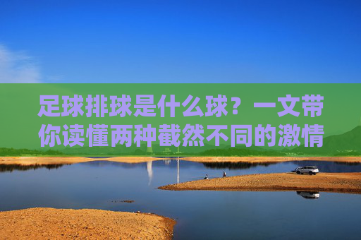 足球排球是什么球?一文带你读懂两种截然不同的激情