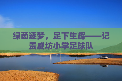绿茵逐梦,足下生辉——记贵戚坊小学足球队
