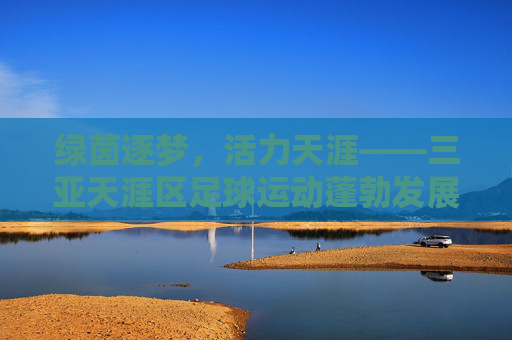 绿茵逐梦,活力天涯——三亚天涯区足球运动蓬勃发展纪实