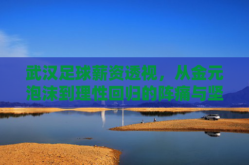 武汉足球薪资透视,从金元泡沫到理性回归的阵痛与坚守