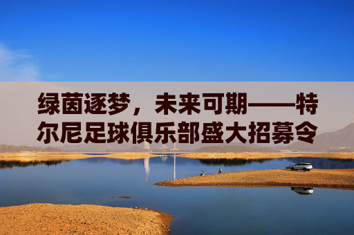 绿茵逐梦,未来可期——特尔尼足球俱乐部盛大招募令!