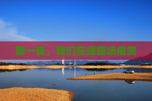 那一夜，我们在绿茵场痛哭