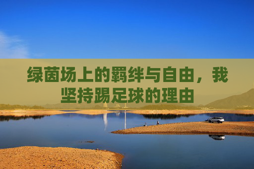 绿茵场上的羁绊与自由,我坚持踢足球的理由