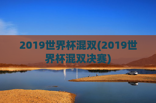 2019世界杯混双(2019世界杯混双决赛)