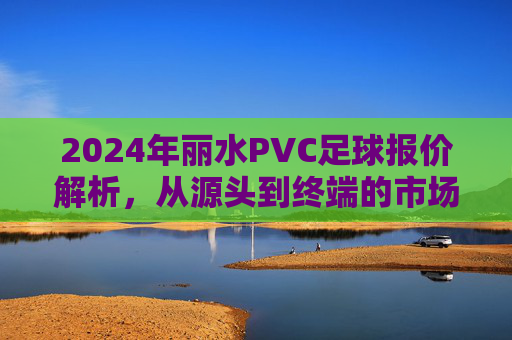 2024年丽水PVC足球报价解析，从源头到终端的市场行情