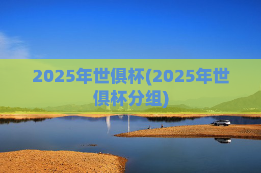 2025年世俱杯(2025年世俱杯分组)
