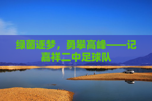 绿茵逐梦，勇攀高峰——记嘉祥二中足球队