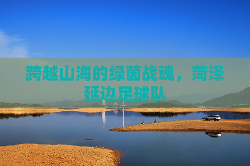 跨越山海的绿茵战魂,菏泽延边足球队