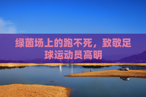 绿茵场上的跑不死，致敬足球运动员高明