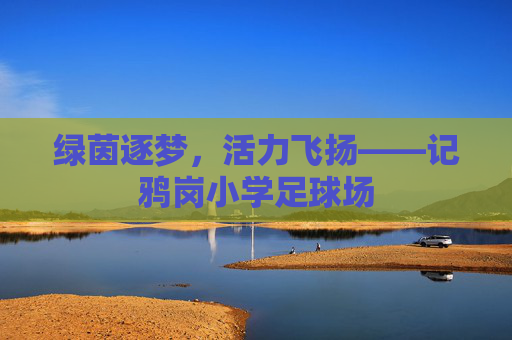 绿茵逐梦，活力飞扬——记鸦岗小学足球场