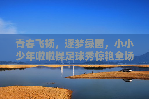青春飞扬，逐梦绿茵，小小少年啦啦操足球秀惊艳全场