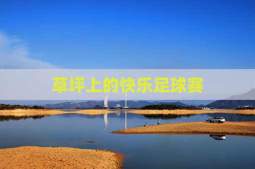 草坪上的快乐足球赛