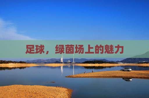 足球，绿茵场上的魅力