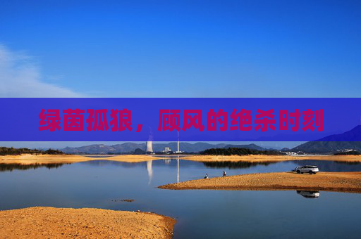 绿茵孤狼,顾风的绝杀时刻