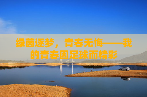 绿茵逐梦,青春无悔——我的青春因足球而精彩