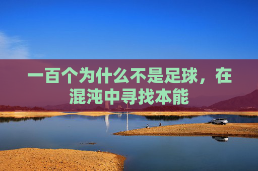 一百个为什么不是足球,在混沌中寻找本能