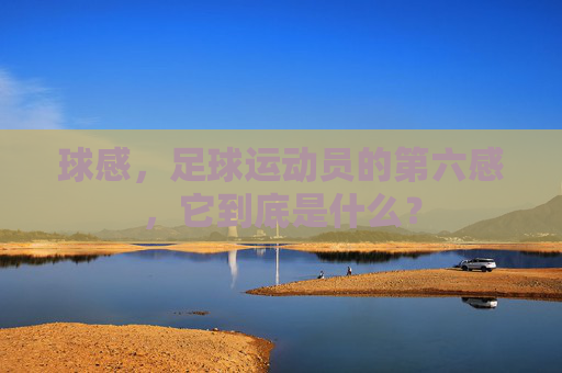 球感,足球运动员的第六感,它到底是什么?