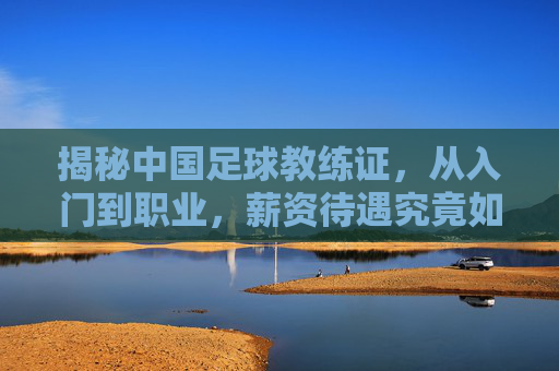 揭秘中国足球教练证,从入门到职业,薪资待遇究竟如何?