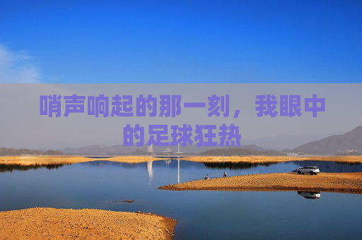 哨声响起的那一刻,我眼中的足球狂热