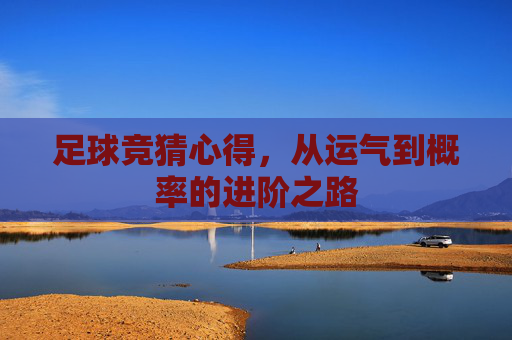 足球竞猜心得，从运气到概率的进阶之路