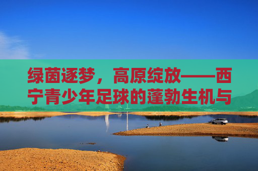 绿茵逐梦,高原绽放——西宁青少年足球的蓬勃生机与未来展望
