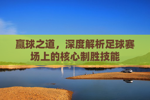 赢球之道,深度解析足球赛场上的核心制胜技能