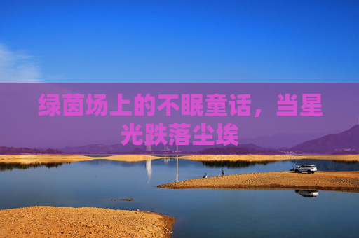 绿茵场上的不眠童话，当星光跌落尘埃