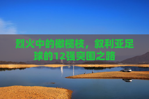 烈火中的橄榄枝,叙利亚足球的12强突围之路