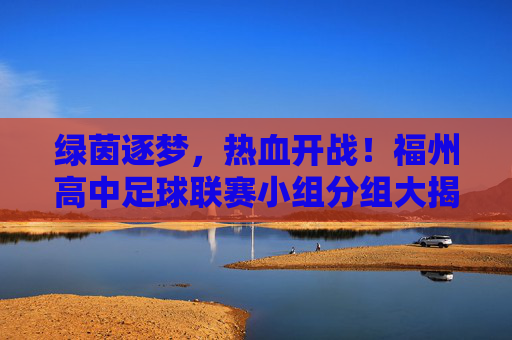 绿茵逐梦，热血开战！福州高中足球联赛小组分组大揭秘
