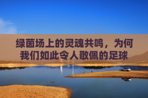绿茵场上的灵魂共鸣，为何我们如此令人敬佩的足球