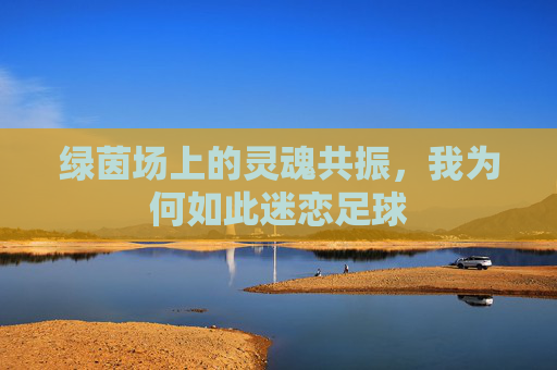 绿茵场上的灵魂共振,我为何如此迷恋足球