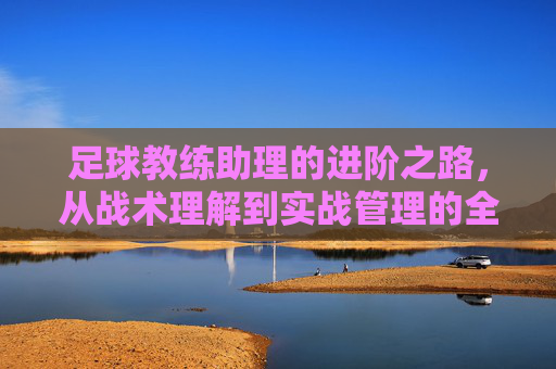 足球教练助理的进阶之路,从战术理解到实战管理的全方位训练