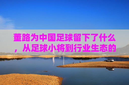 董路为中国足球留下了什么，从足球小将到行业生态的构建者